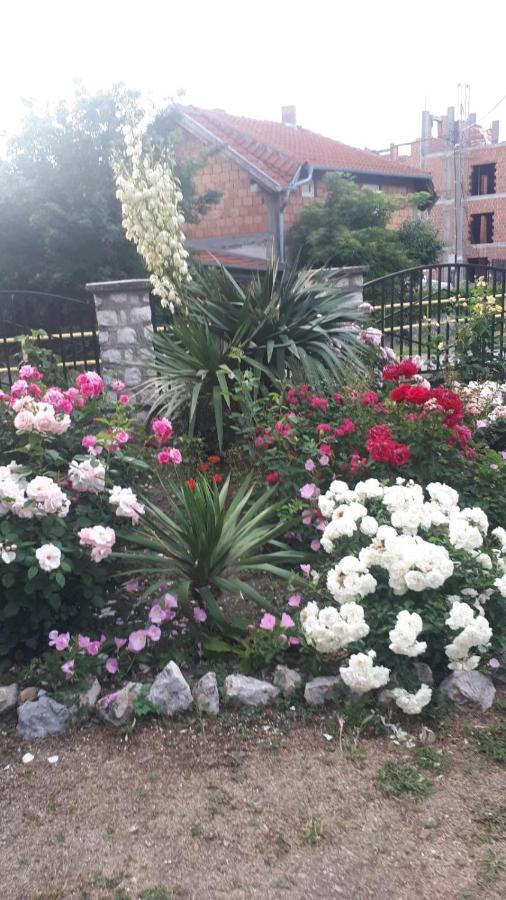Sobe Seka Hotel Golubac Exterior foto