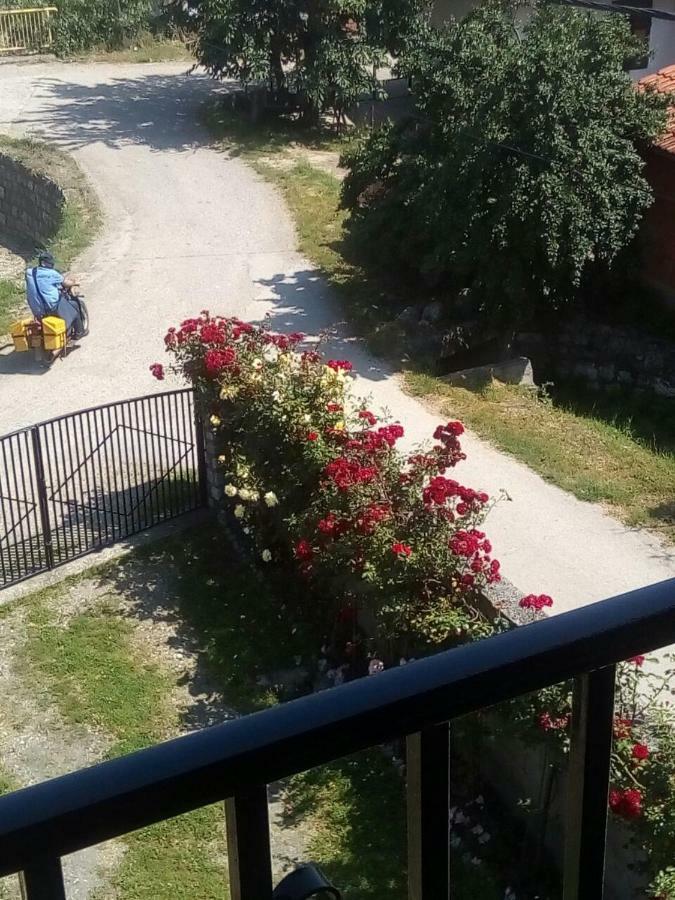 Sobe Seka Hotel Golubac Exterior foto