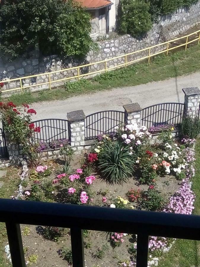 Sobe Seka Hotel Golubac Exterior foto